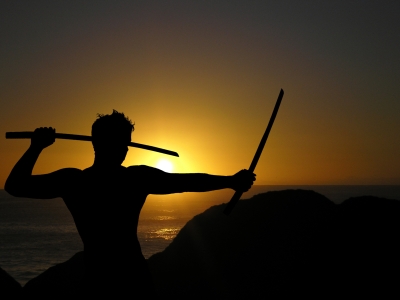 A Warrior Shows No Fear A Warrior Shows No Fear